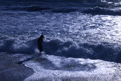 DSC_0443 (Large).JPG